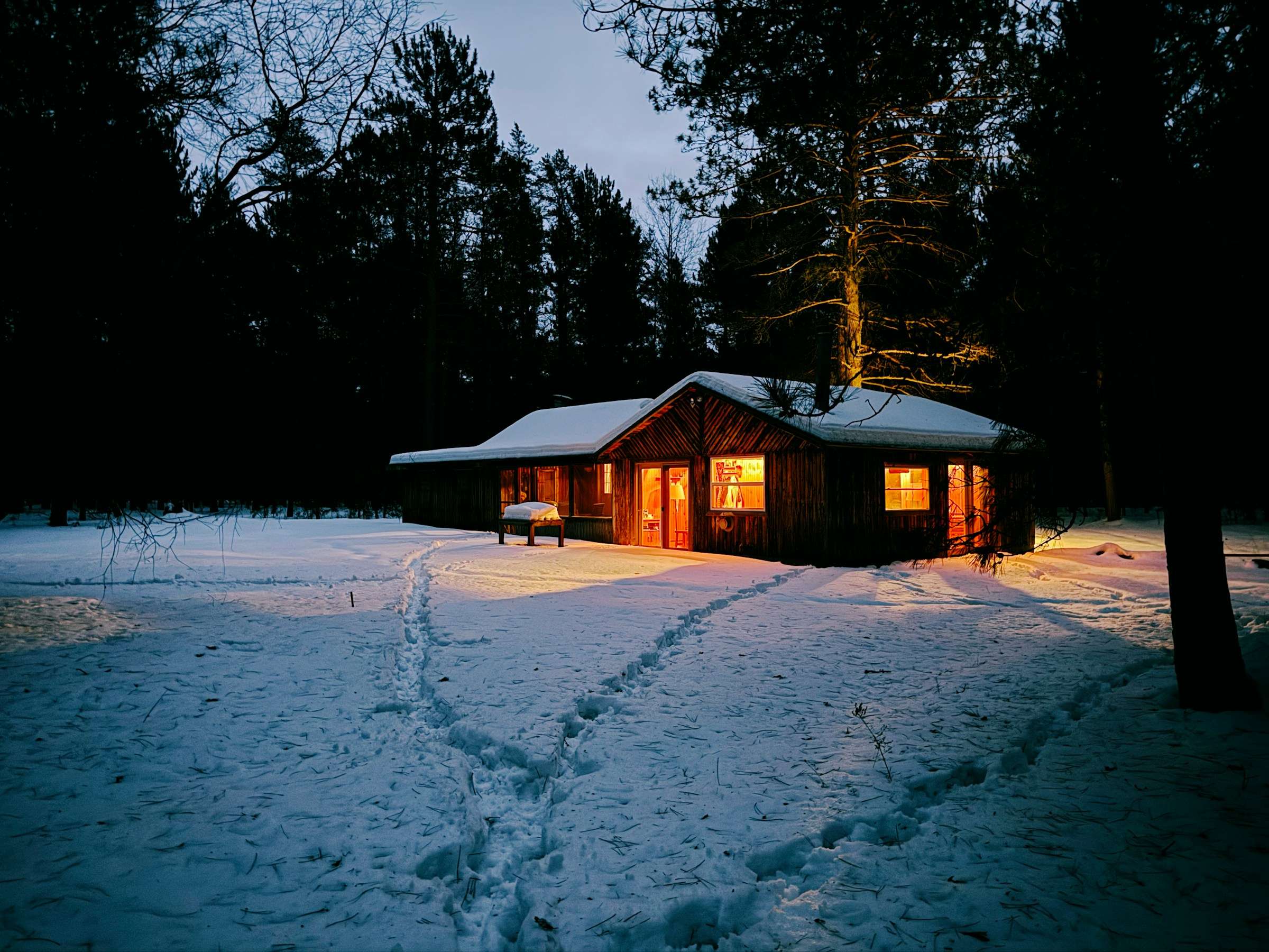 Cottage in the pines at dusk with the lights on